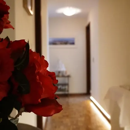 Jardim Da Celeste * Viana do Castelo