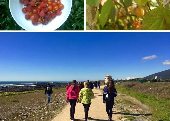 Jardim Da Celeste * Viana do Castelo