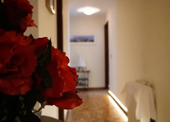 Jardim Da Celeste * Viana do Castelo