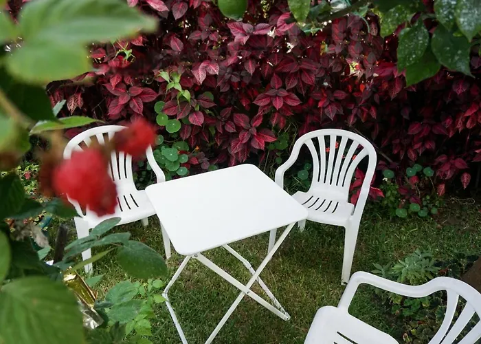 Jardim Da Celeste Viana do Castelo