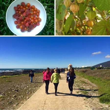 Jardim Da Celeste * Βιάνα ντο Καστέλο