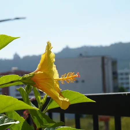 홈스테이 Jardim Da Celeste