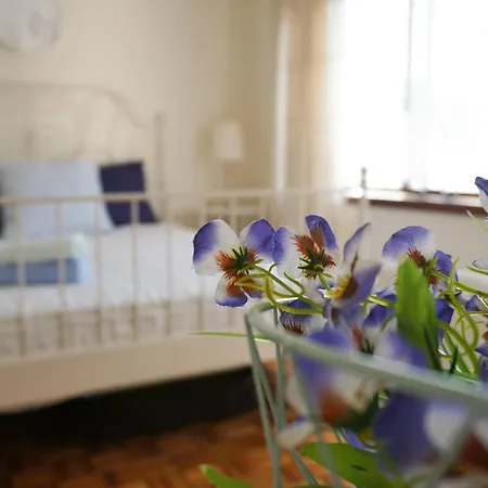 Jardim Da Celeste منزل للإقامة فيانا دو كاستيلو