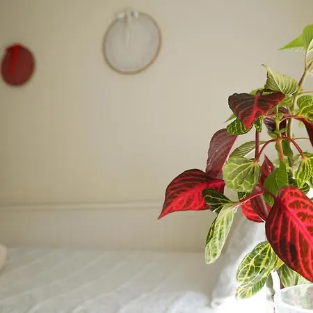 منزل للإقامة Jardim Da Celeste *