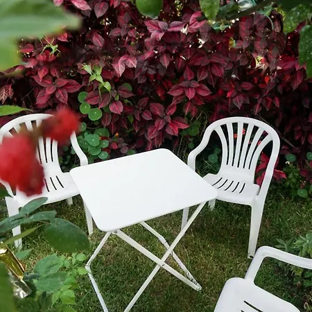 Jardim Da Celeste Βιάνα ντο Καστέλο