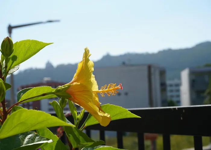 Privatunterkunft Jardim Da Celeste